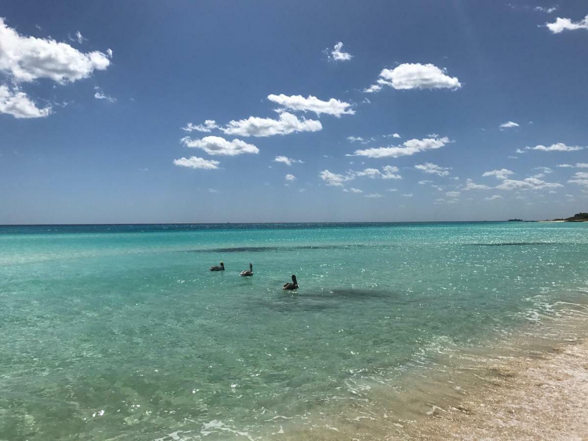 Villa Ikal Playa del Carmen Eksteriør billede